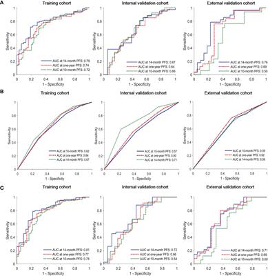 Identification of Stage IIIC/IV EGFR-Mutated Non-Small Cell Lung Cancer Populations Sensitive to Targeted Therapy Based on a PET/CT Radiomics Risk Model